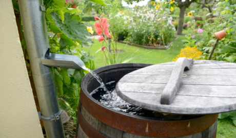 retencja wody w ogrodzie